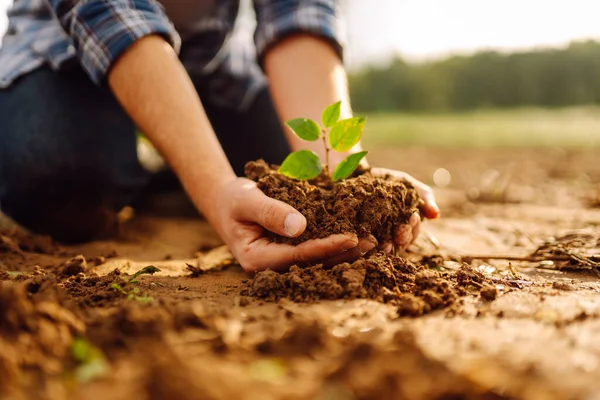 Close Farmer Hands Holding Young Plant Soil Gardening Concept Agriculture — Stock Photo, Image