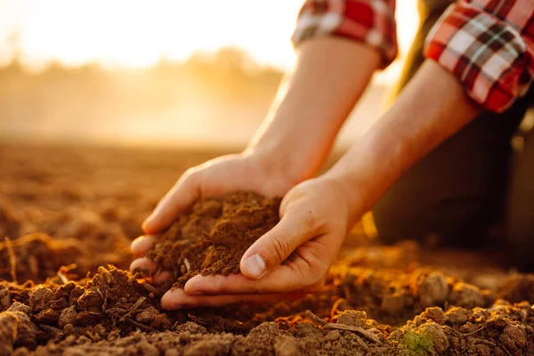 Farmer\'s hands check the quality and health of the soil before sowing. Concept of gardening, ecology.