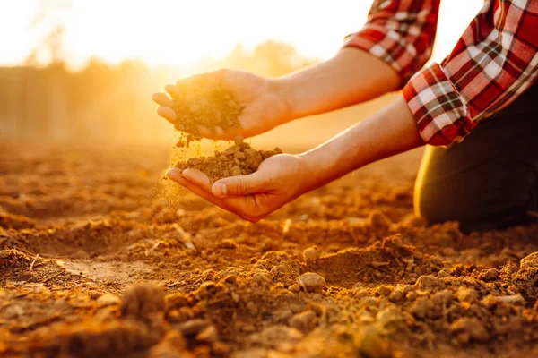 Farmer\'s hands check the quality and health of the soil before sowing. Concept of gardening, ecology.