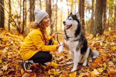 İri köpeğiyle güz ormanında yürüyen mutlu bir kadın. Neşeli bir evcil hayvan sahibi ile dışarıda vakit geçirir. Rahatlama kavramı, eğlence.