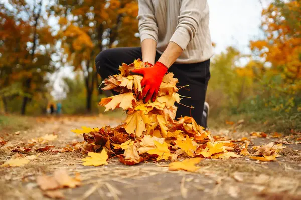 雄性手将黄色落叶收集起来放在篮子里 在秋天的公园里收集树叶的特写 志愿服务 生态概念 — 图库照片
