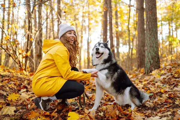 Glückliche Frau Geht Mit Ihrem Husky Hund Herbstlichen Wald Spazieren — Stockfoto