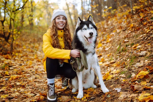 Счастливая Женщина Своей Хаски Собакой Гуляет Осеннему Лесу Веселый Питомец — стоковое фото
