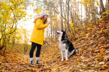 Sarı montlu güzel genç bir kadın güz parkında evcil köpeğiyle yürüyor. Bir evcil hayvan sahibi köpeğiyle vakit geçirir. Eğlence anlayışı, eğlence.