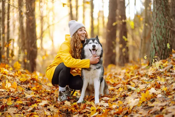 黄色いコートの美しい若い女性は 彼女のペットの夫と秋の公園を歩いています ペットの飼い主は犬と時間を過ごしています 楽しい エンターテイメントのコンセプト — ストック写真