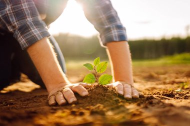 Çiftçi elleri eker, verimli topraklarda yetişen bitkiler yetiştirir. Koruma kavramı, çevre koruma. Tarım.