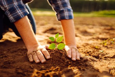 Çiftçi elleri eker, verimli topraklarda yetişen bitkiler yetiştirir. Koruma kavramı, çevre koruma. Tarım.