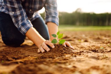 Çiftçi elleri eker, verimli topraklarda yetişen bitkiler yetiştirir. Koruma kavramı, çevre koruma. Tarım.