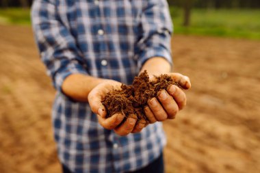 Toprak tecrübeli bir tarım uzmanının elinde. Bir çiftçinin erkek elinin yakın plan çekimi toprağın kalitesini, toprağın verimliliğini kontrol ediyor. Bir işçi sabanla sürülmüş bir tarla tutar..