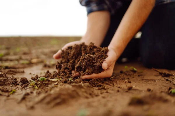 The soil is in the hands of an experienced agronomist. Close-up of a farmer\'s male hands checking the quality of the soil, the fertility of the land. A worker holds a plowed field of soil.