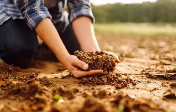 The soil is in the hands of an experienced agronomist. Close-up of a farmer\'s male hands checking the quality of the soil, the fertility of the land. A worker holds a plowed field of soil.