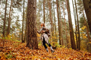 Sırt çantalı genç ve güzel bir turist sonbahar ormanında eğleniyor, yapraklarını döküyor. Kadın ormanda renkli bir patika boyunca yürüyor. Özgürlük, seyahat.