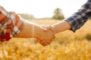 Altın buğday tarlasının arka planında iki çiftçi el sıkışıyor. Başarılı iş adamları kârlı bir anlaşmadan sonra el sıkışırlar..