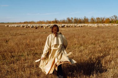 Bir tarlada duran ceketli genç bir kadın kuru otların arasında, doğanın tadını çıkarıyor. Şehir tarzı ve sokak modası. Doğa, moda, özgürlük kavramı. Yaşam biçimi.