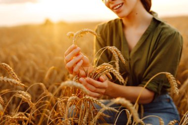Güzel kadın çiftçi buğdayın kalitesini kontrol ediyor. Ürünün iyi durumda olduğundan emin olmak için buğday kulaklarına dokunur. Tarım, bahçıvanlık veya ekoloji kavramı.