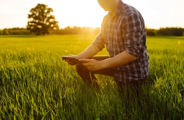 Agronomist Een Groen Veld Met Een Digitale Tablet Zijn Handen — Stockfoto