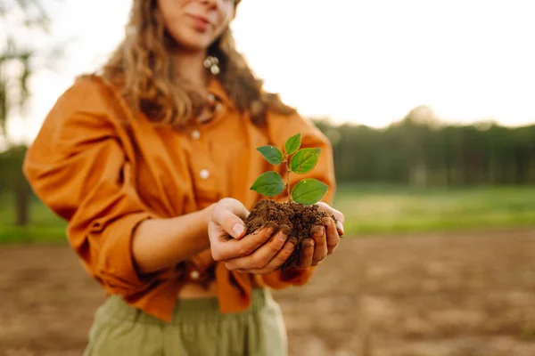 A young plant in the hands of a woman farmer against the background of an agricultural field. A woman agronomist protects a young plant in the field. Organic gardening, ecology concept.
