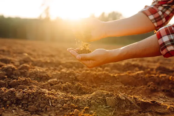 Black soil in the hands of a farmer. The hands of an experienced agronomist collects soil and checks the quality of black soil. Concept of fertility, ecology. Agriculture.