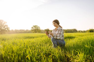 Yeşil buğday tarlasında elinde dijital tabletle deneyimli bir kadın çiftçi. Genç bir tarımcı kadın mahsulün büyümesini kontrol ediyor. Bahçe ve ekoloji kavramı.