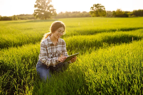 Experienced woman farmer with a digital tablet in her hands on a green wheat field. A young woman agronomist checks the growth of the crop. Concept of gardening, ecology.