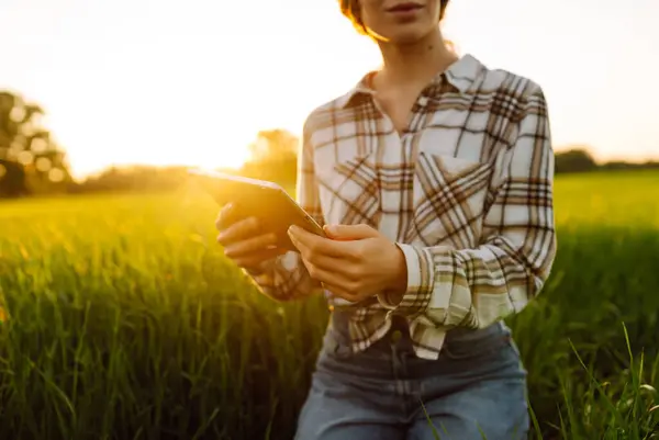 Experienced woman farmer with a digital tablet in her hands on a green wheat field. A young woman agronomist checks the growth of the crop. Concept of gardening, ecology.