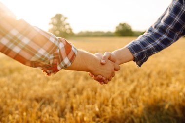 Altın buğday tarlasında el sıkışan iki çiftçinin yakın çekimi. Tarım alanındaki çiftçiler el sıkışarak bir anlaşma yapıyorlar. İş kavramı, tarım.