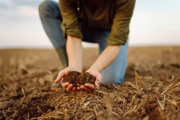 A young woman farmer holds black soil in her hand on an agricultural field. Close-up of hands with soil, quality check. Fertility concept, scaling.