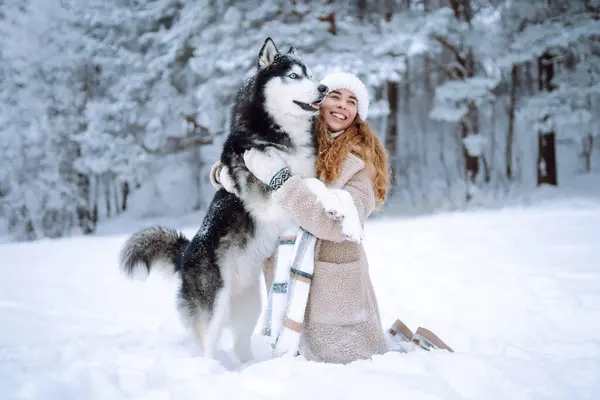 A cheerful husky dog walks with its owner in a snowy forest. A young woman with her pet on an adventure. Friendship concept, pets.
