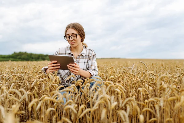 Petani Wanita Dengan Tablet Digital Bidang Pertanian Wanita Muda Agronomis — Stok Foto