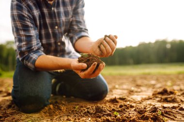 Toprak, kara tarladaki bir çiftçinin güçlü ellerinde. Bir ziraatçinin erkek elleri kara toprağın durumunu kontrol eder. Tarım ya da bahçıvanlık kavramı.