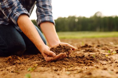 Toprak, kara tarladaki bir çiftçinin güçlü ellerinde. Bir ziraatçinin erkek elleri kara toprağın durumunu kontrol eder. Tarım ya da bahçıvanlık kavramı.