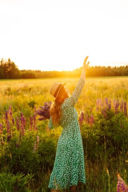 Lupin dolu bir tarlada elinde bir buket çiçekle hasır şapkalı şık bir kadın. Gün batımında yürürken doğanın tadını çıkaran genç bir kadın. Doğa konsepti.