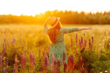 Lupin dolu bir tarlada elinde bir buket çiçekle hasır şapkalı şık bir kadın. Gün batımında yürürken doğanın tadını çıkaran genç bir kadın. Doğa konsepti.