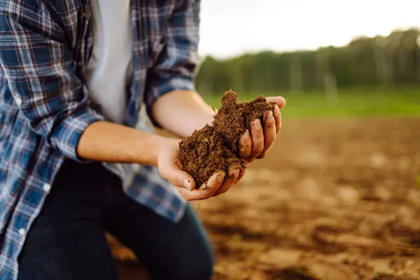 Soil is in the strong hands of a farmer on a black field. The male hands of an agronomist check the condition of the black soil. Agriculture or gardening concept.