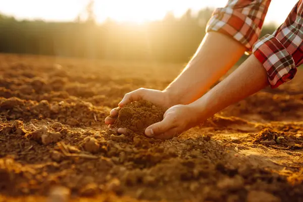 Close-up of a farmer's hands taking black soil from the field. Men's hands move the soil with their hands, checking its quality. Ecology concept.
