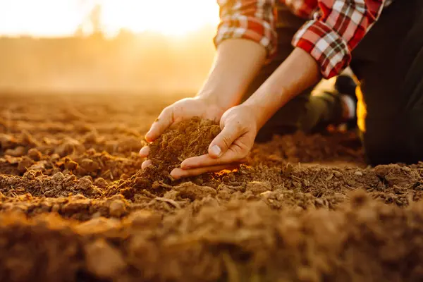 Close-up of a farmer\'s hands taking black soil from the field. Men\'s hands move the soil with their hands, checking its quality. Ecology concept.