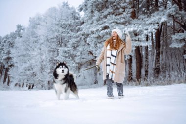 Güzel genç bir kadın köpeğiyle kış ormanında yürüyor. Evcil hayvanıyla maceraya çıkmış genç bir kadın. Dostluk konsepti, evcil hayvanlar. Bir kadın ve köpek arasındaki arkadaşlık.. 