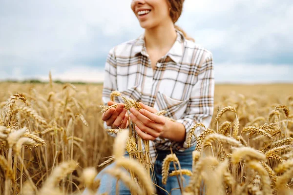 Bir Tarımcı Kadın Tarımda Buğdayın Altın Hasadını Araştırıyor Genç Bir — Stok fotoğraf