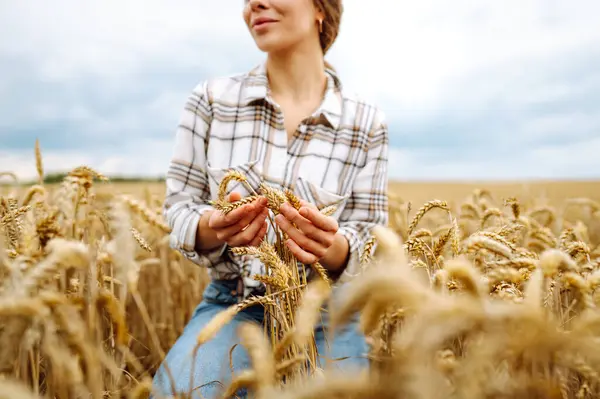 Bir Tarımcı Kadın Tarımda Buğdayın Altın Hasadını Araştırıyor Genç Bir — Stok fotoğraf