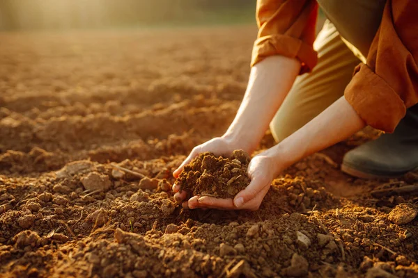 Young female farmer\'s hands touch dry soil in an agricultural field. A woman agronomist sorts through the black soil, checking the quality of the soil before sowing. Gardening and ecology concept.