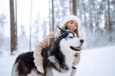 Karda köpeğiyle oynayan tatlı bir kadın. Mutlu bir kadın ve Sibirya kurdu karlı bir ormanda birlikte yürüyorlar. Tatil kavramı, rahatlama..