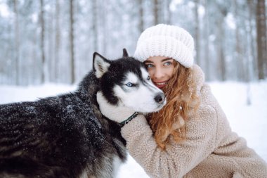 Karda köpeğiyle oynayan tatlı bir kadın. Mutlu bir kadın ve Sibirya kurdu karlı bir ormanda birlikte yürüyorlar. Tatil kavramı, rahatlama..