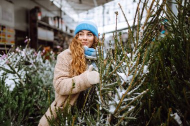 Mutlu kadın Noel ağacı alıyor. Sıcak giysiler içinde gülümseyen bir kadın markette bir Noel ağacı seçiyor. Tatil kavramı.