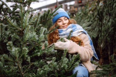 Mutlu kadın Noel ağacı alıyor. Sıcak giysiler içinde gülümseyen bir kadın markette bir Noel ağacı seçiyor. Tatil kavramı.