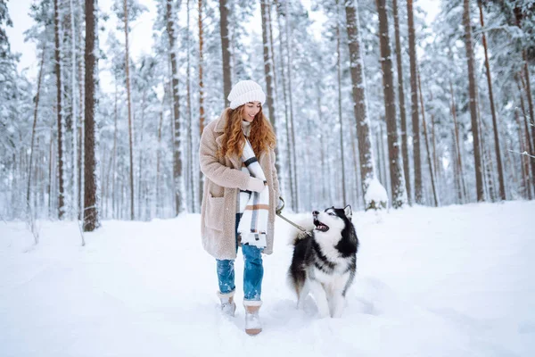 Karda köpeğiyle oynayan tatlı bir kadın. Mutlu bir kadın ve Sibirya kurdu karlı bir ormanda birlikte yürüyorlar. Tatil kavramı, rahatlama..