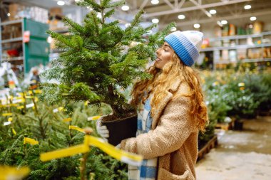 Parlak şapkalı mutlu kadın kış pazarında bir Noel ağacı satın alıyor. Genç bir kadın Noel 'in yaklaştığını hissediyor. Tatil kavramı, gelenekler.