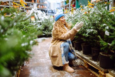 Parlak şapkalı mutlu kadın kış pazarında bir Noel ağacı satın alıyor. Genç bir kadın Noel 'in yaklaştığını hissediyor. Tatil kavramı, gelenekler.