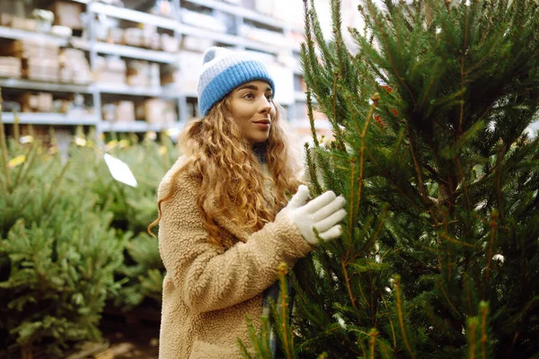 Parlak şapkalı mutlu kadın kış pazarında bir Noel ağacı satın alıyor. Genç bir kadın Noel 'in yaklaştığını hissediyor. Tatil kavramı, gelenekler.