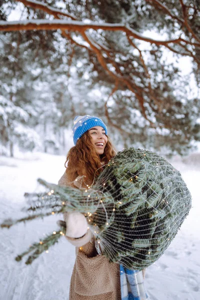 Şık bir genç kadın kış ormanında bir Noel ağacı taşıyor. Açık havada kış gününün tadını çıkaran parlak şapkalı, gülümseyen kadın. Tatil, doğa konsepti..