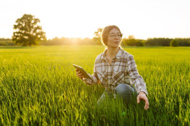A woman farmer holds a digital tablet checking the quality of the crop in a sunset field. The concept of a rich harvest, gardening, ecology.